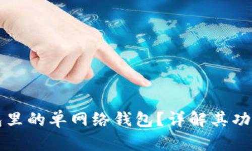 什么是TP钱包里的单网络钱包？详解其功能与使用方法
