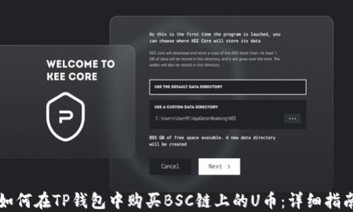 
如何在TP钱包中购买BSC链上的U币：详细指南