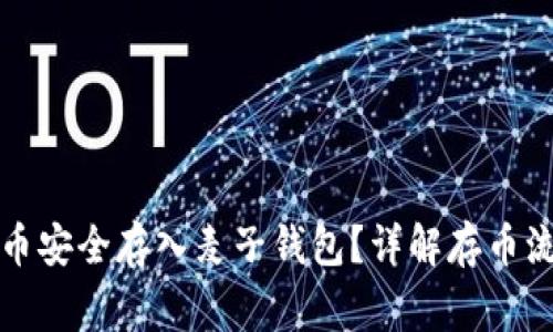 怎样将以太坊币安全存入麦子钱包？详解存币流程与常见问题