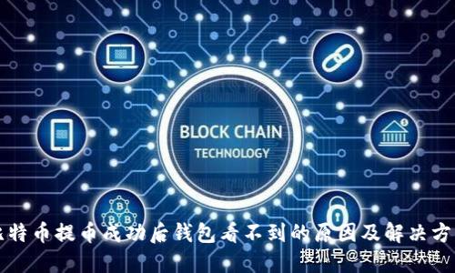 比特币提币成功后钱包看不到的原因及解决方法
