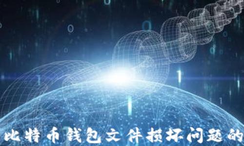 
解决比特币钱包文件损坏问题的指南