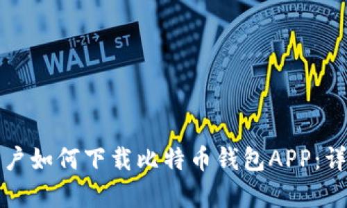 安卓用户如何下载比特币钱包APP：详细指南
