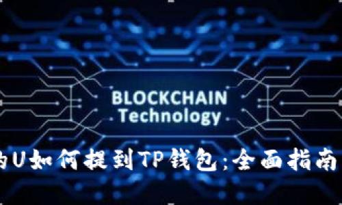 ZT交易所的U如何提到TP钱包：全面指南与实操分享