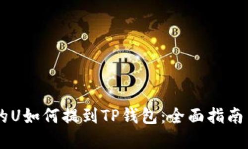 ZT交易所的U如何提到TP钱包：全面指南与实操分享