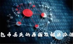 TP钱包币丢失的原因及解决