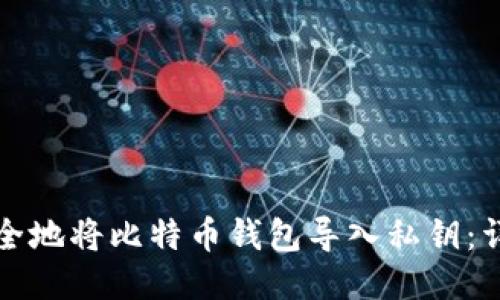如何安全地将比特币钱包导入私钥：详细指南