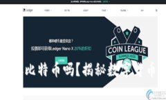 苹果手机钱包能存比特币