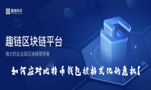 如何应对比特币钱包被格式化的危机？