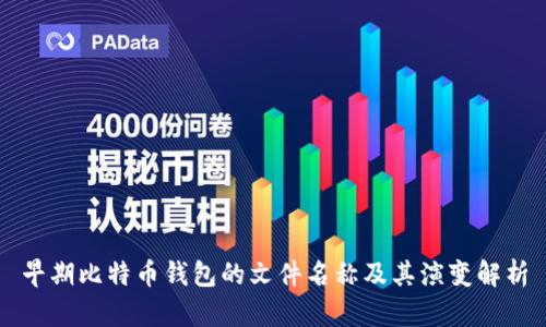 早期比特币钱包的文件名称及其演变解析