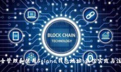 如何安全管理和使用Sola