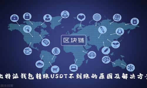 比特派钱包转账USDT不到账的原因及解决方案