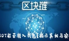   假的USDT能否转入钱包？