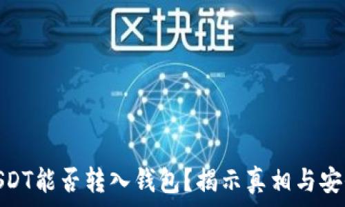   
假的USDT能否转入钱包？揭示真相与安全建议