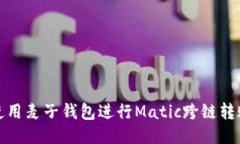 如何使用麦子钱包进行M
