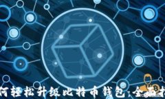 如何轻松升级比特币钱包