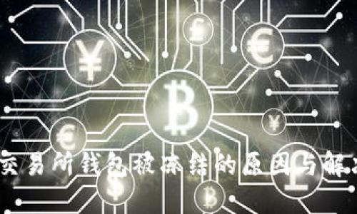 USDT交易所钱包被冻结的原因与解决方法