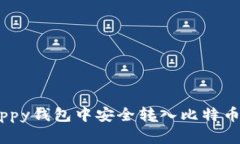 如何在Quppy钱包中安全转入