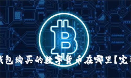 在TP钱包购买的数字货币在哪里？完整指南