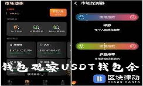 如何使用TP钱包观察USDT钱包余额：全面指南