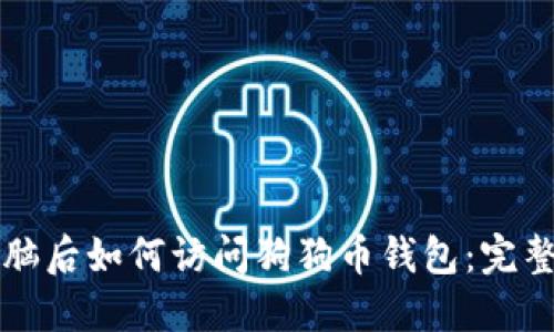 换电脑后如何访问狗狗币钱包：完整指南