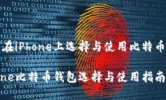 如何在iPhone上选择与使用