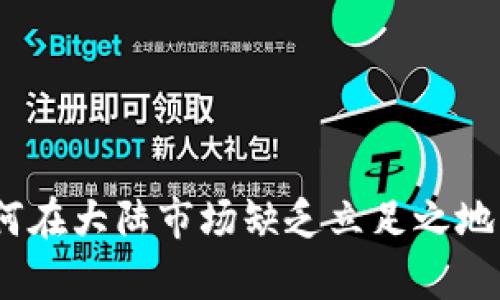 TP钱包：为何在大陆市场缺乏立足之地的深度解析