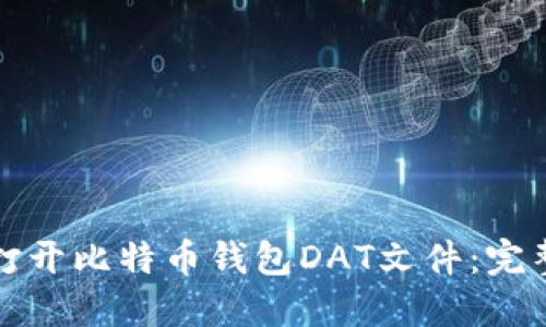 如何打开比特币钱包DAT文件：完整指南