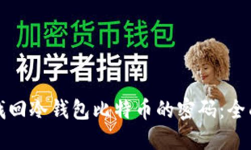 如何找回冷钱包比特币的密码：全面指南