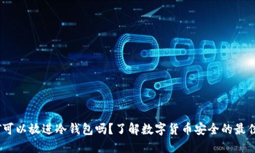 USDT可以放进冷钱包吗？了解数字货币安全的最佳实践