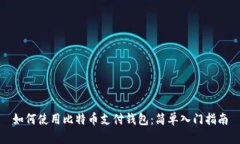 如何使用比特币支付钱包
