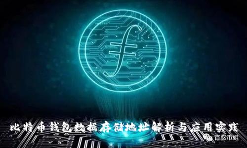 比特币钱包数据存储地址解析与应用实践