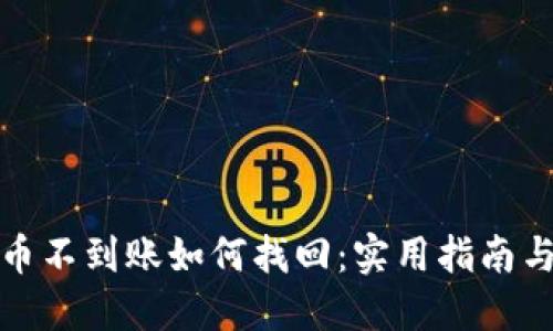 TP钱包提币不到账如何找回：实用指南与解决方案
