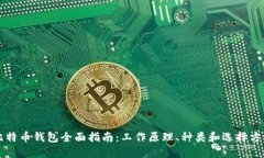 比特币钱包全面指南：工