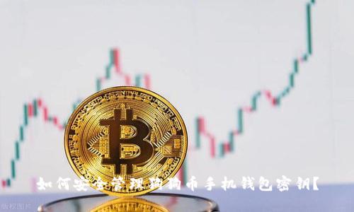 如何安全管理狗狗币手机钱包密钥？