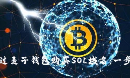 如何通过麦子钱包购买SOL域名：一步步指南