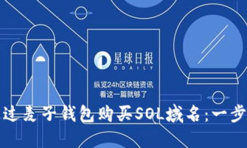 如何通过麦子钱包购买SOL域名：一步步指南