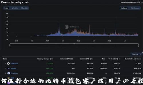 
如何选择合适的比特币钱包客户端：用户必看指南