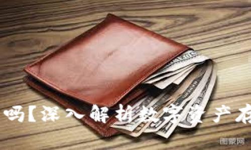 USDT不放钱包安全吗？深入解析数字资产存储风险与安全策略