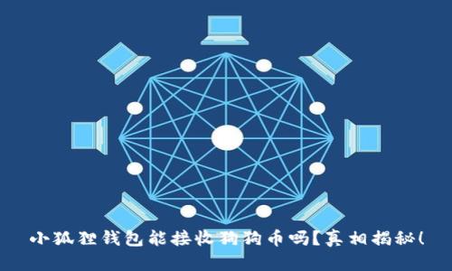 小狐狸钱包能接收狗狗币吗？真相揭秘！