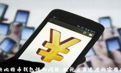 解决比特币钱包慢的问题