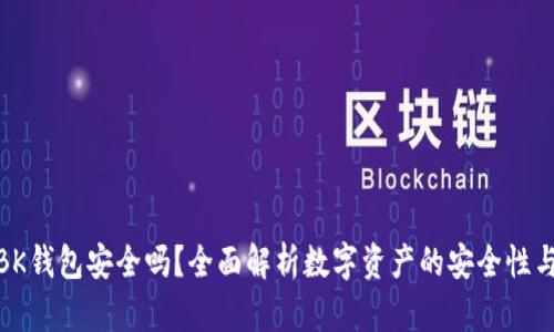 TP和BK钱包安全吗？全面解析数字资产的安全性与风险
