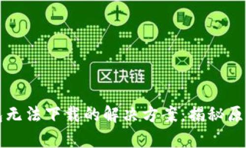 华为手机钱包无法下载的解决方案：揭秘原因与修复方法