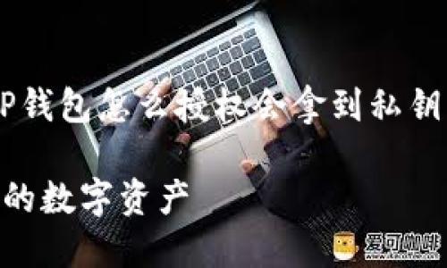 很高兴为你提供相关内容的概述！关于“TP钱包怎么授权会拿到私钥”，以下是一个的，相关关键词和内容大纲。

TP钱包授权与私钥获取指南：安全管理你的数字资产