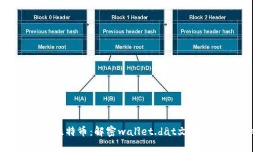 如何安全存储比特币：解密wallet.dat文件的价值与风险