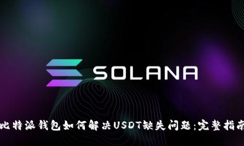 比特派钱包如何解决USDT缺失问题：完整指南