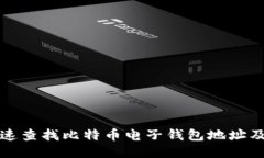 如何快速查找比特币电子