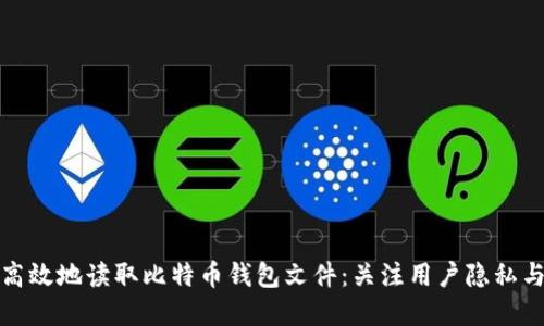 如何安全高效地读取比特币钱包文件：关注用户隐私与资产安全