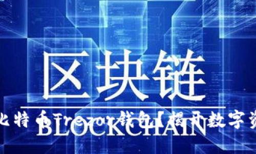 如何安全使用比特币Trezor钱包？揭开数字资产安全的秘密