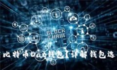 如何安全使用比特币Dat钱