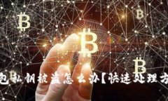 如果你的TP钱包私钥被盗怎